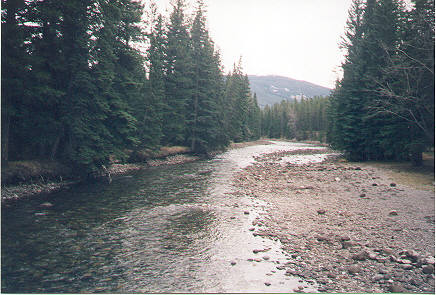 stream 1
