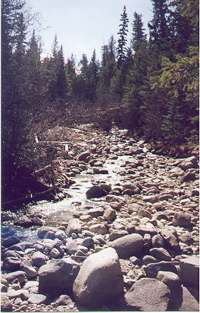 stream 2